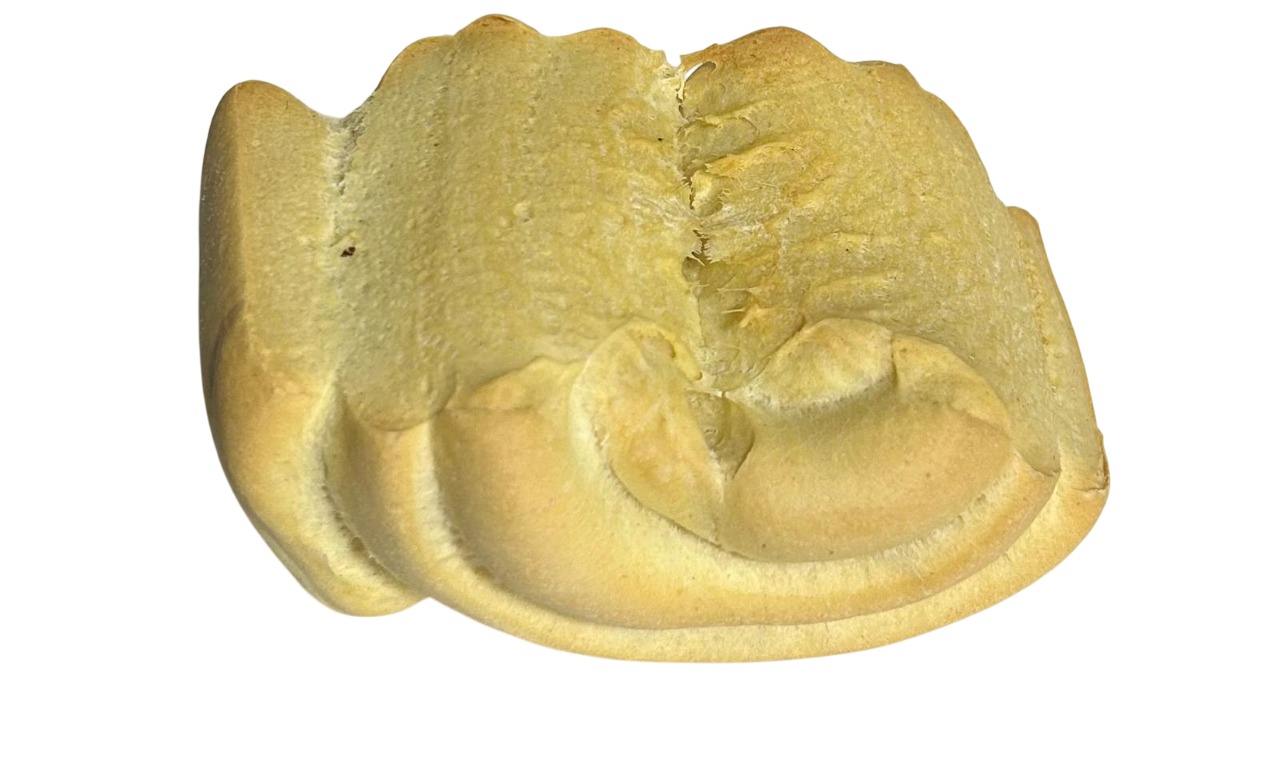 Biova