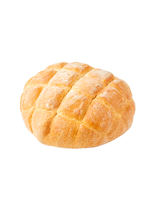 tartaruga